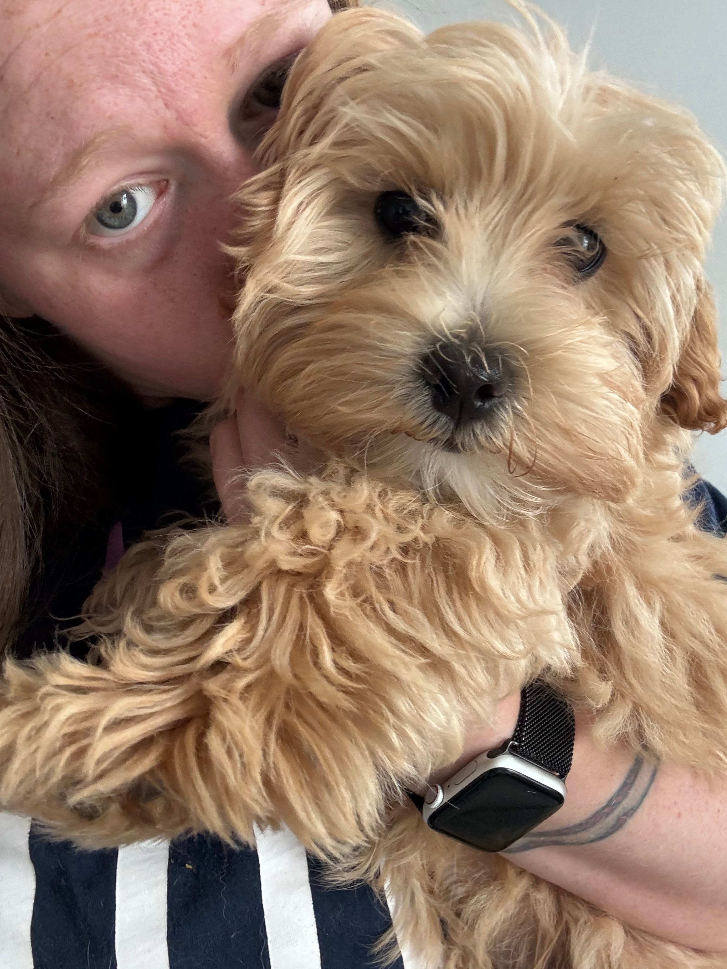 Olivia with a dog at Paws to Perfection