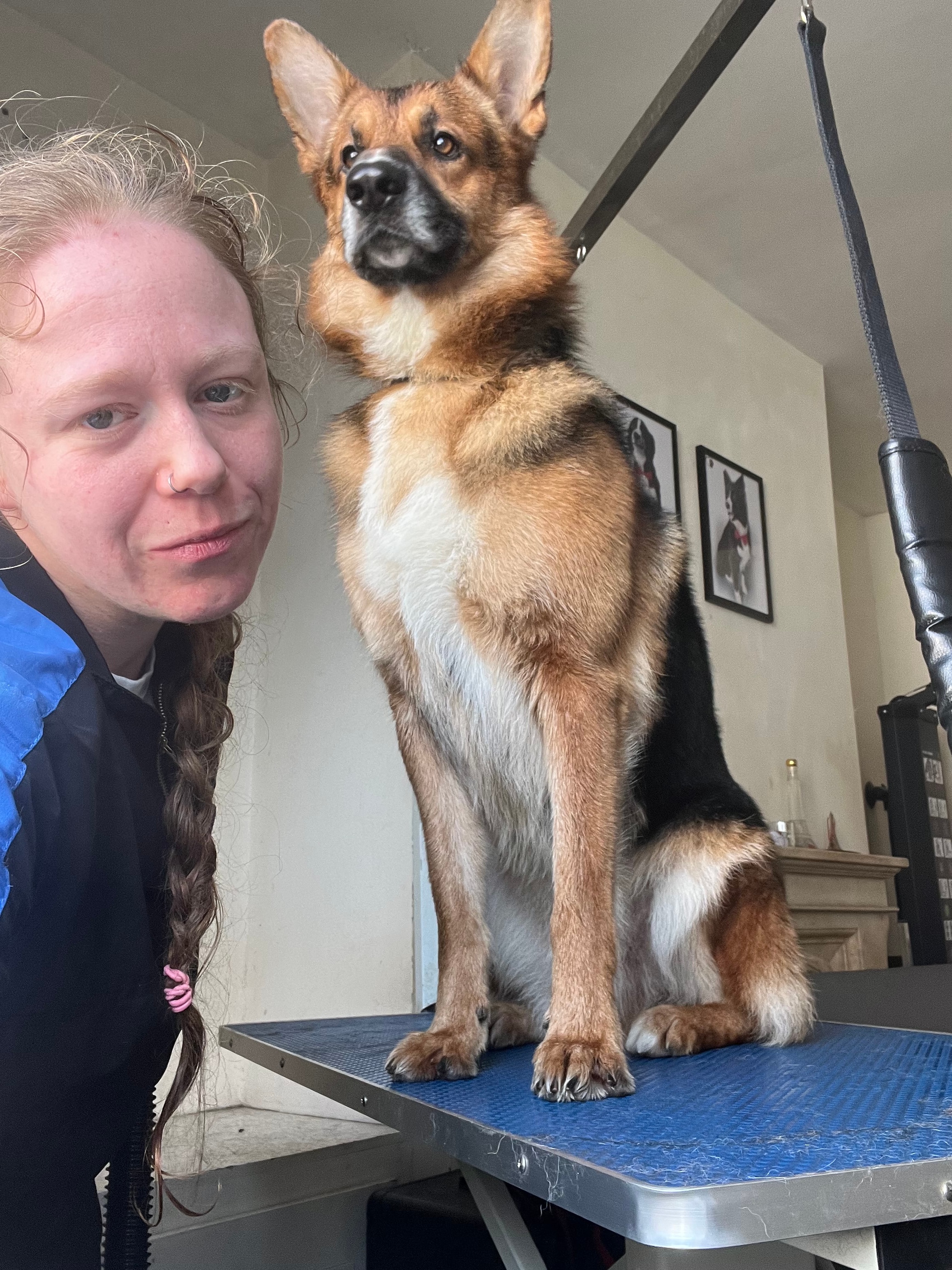 Olivia with a German Shepherd puppy on the grooming table