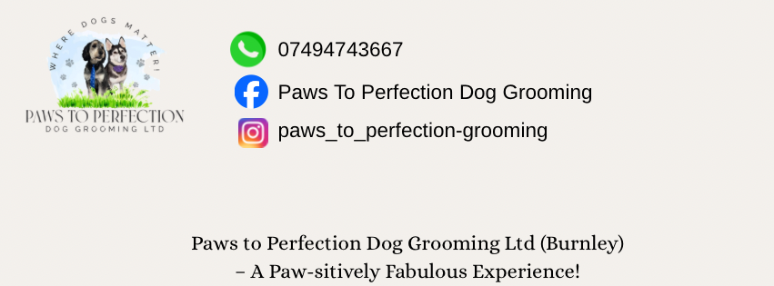 Call us: 07494 743667