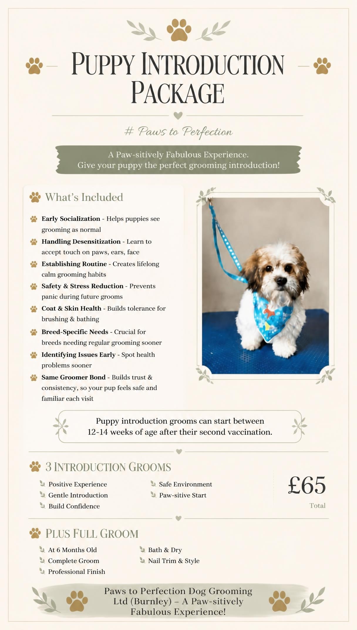 Paws to Perfection Puppy Introduction Package details