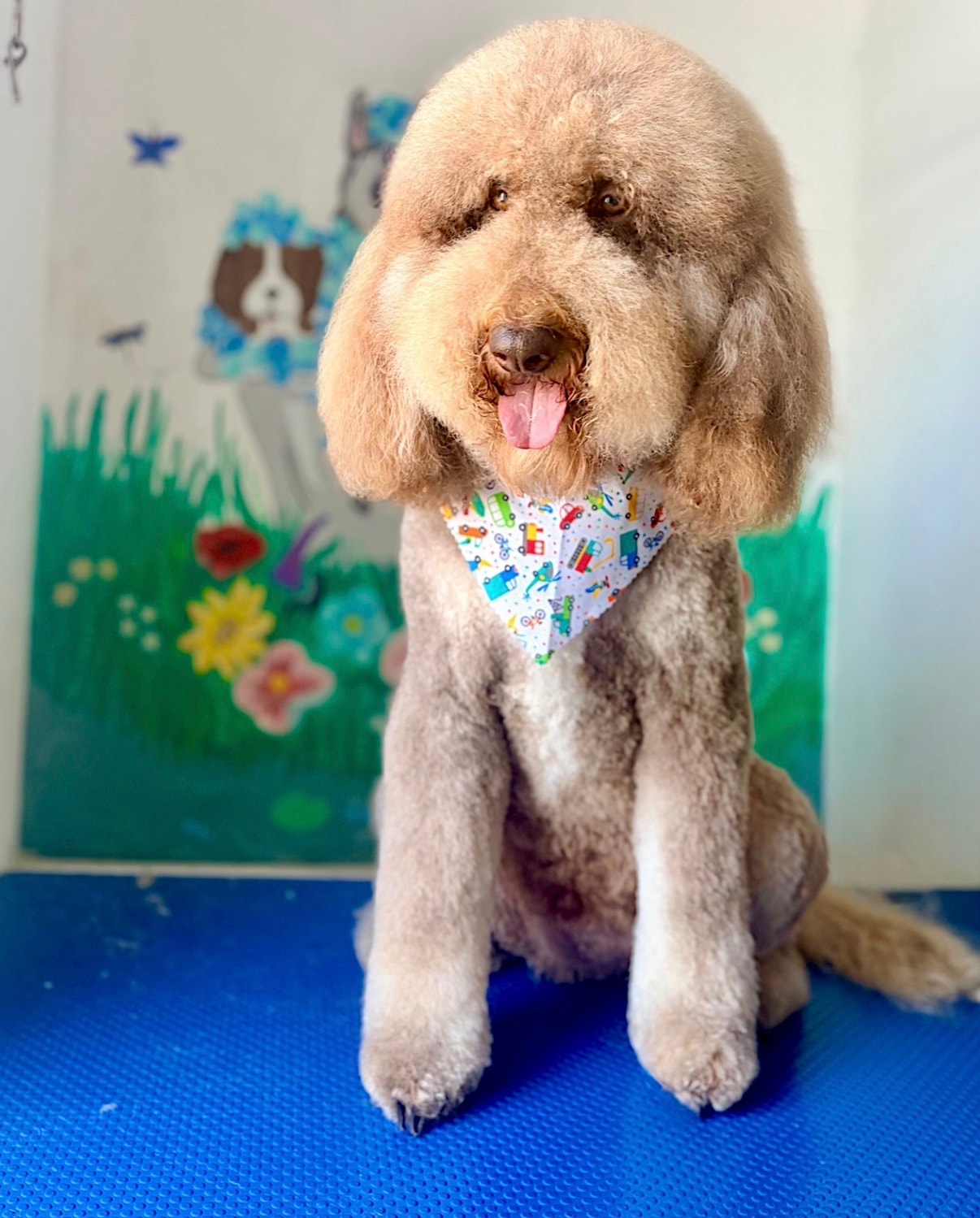 Full Groom